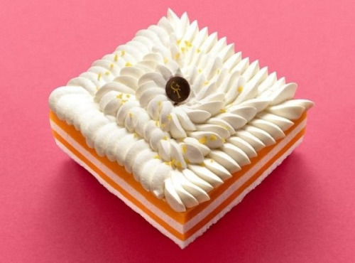 GT Designer Glacier - Vacherin Mangue Passion