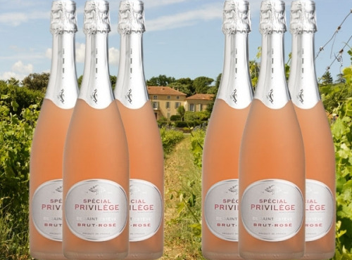 Château Saint Estève d'Uchaux - Brut Rosé BIO Méthode Traditionnelle x6