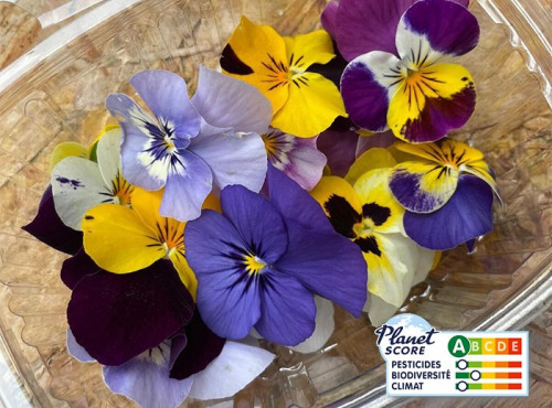 Les Nouvelles Fermes - Maxi fleurs de pensées comestibles (boite de 20 fleurs)