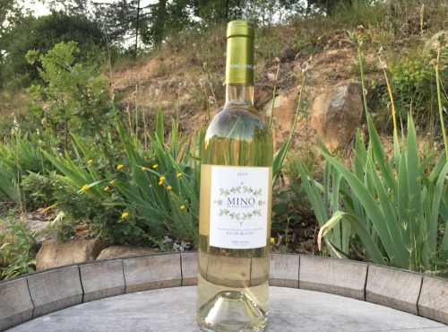 Depuis des Lustres - Comptoir Corse - Sant Armettu - Sartène - Minò blanc