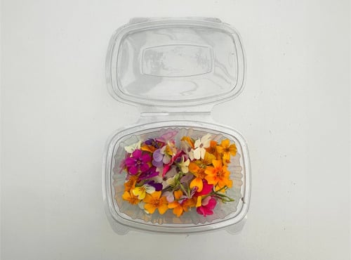 Les Nouvelles Fermes - Mix de fleurs comestibles (boite de 40 fleurs)