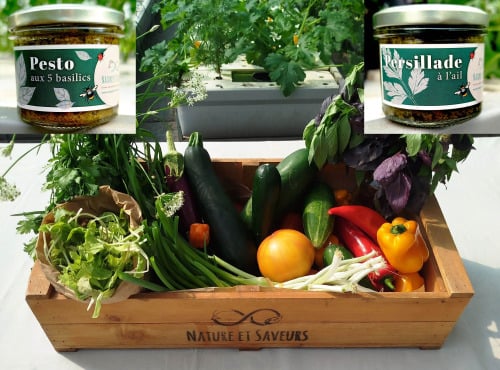 Nature et Saveurs - Ferme Aquaponique et Permacole Astérienne - Grand Panier de Légumes Astériens + Persillade & Pesto