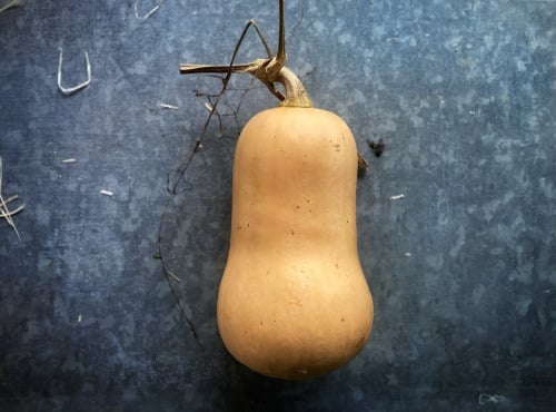 La Ferme d'Artaud - Butternut - 1kg