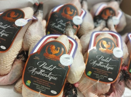 Les Volailles Loyer - Poulets Fermiers Authentiques par 6 (colis de 10 kgs) PAC - Entre 1,6 kgs et 1,8 kgs