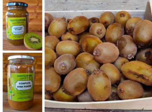 Verger Nantes Prim - Coffret Découverte Kiwi 5kg