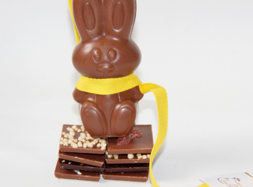Mon jardin chocolaté - Lapin De Pâques Chocolat Au Lait