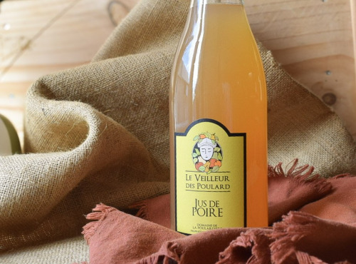 Dégustonfoin - Jus de poire - 1L BIO