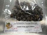 Limero l'Escargot Mayennais - Chairs D'escargot Helix Aspersa Frais Parées Totalement - 10 sachet de 120