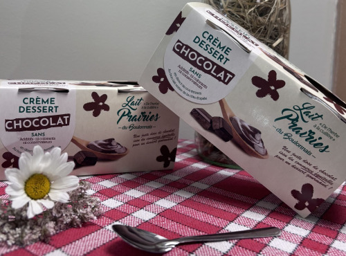 Lait Prairies du Boulonnais - Crèmes Dessert Chocolat - 4 x 115g