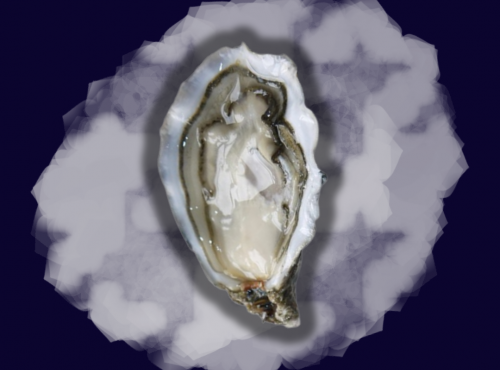 Le Termer - Huîtres de Normandie IGP N°2-12 Pièces "Saveurs de Normandie"