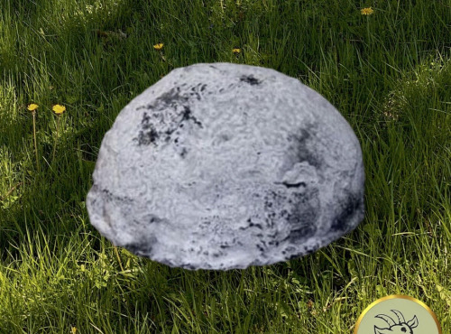 Fromagerie des Gors - Dome des Gors cendré