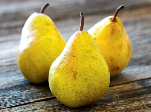 Les Jardins de Gérard - Poire Guyot Bio 1kg