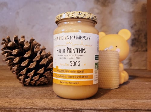 Les Butineuses de Champigny - Miel de Printemps BIO - 500g