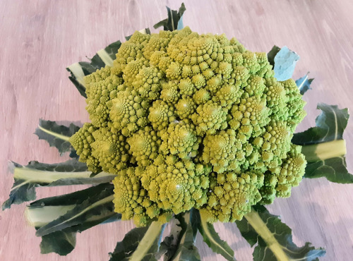 Gourmets de l'Ouest - Chou romanesco de Saint-Malo