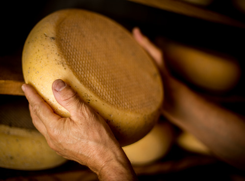 Le Moulin Gourmand - Fromage De Bethmale "vache Doux" 2kg