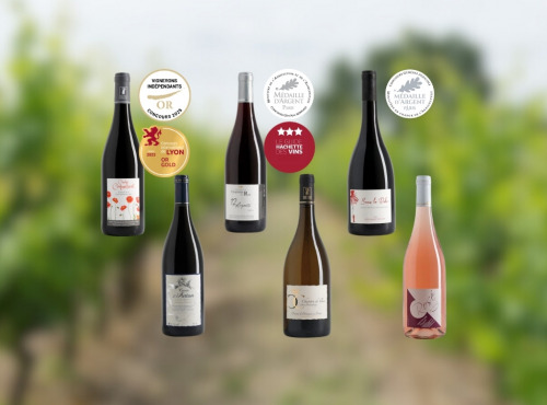 Domaine de la Chopinière du Roy - Coffret cadeau découverte des vins de Loire "Les 6 vins de Loire du Domaine" - 6 x 75 cl