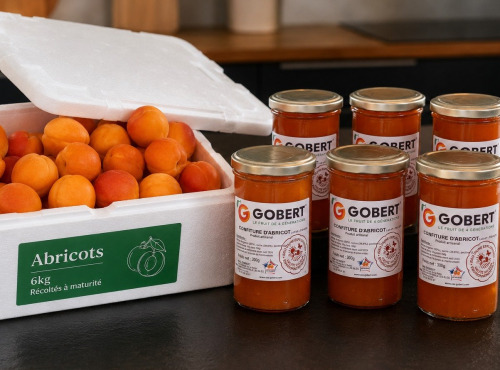 Gobert, l'abricot de 4 générations - [Précommande] 6 kg d'abricots et 6 confitures d'abricot