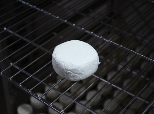 Alléosse Maitre Artisan Affineur Fromager - Basilou chèvre extra-frais