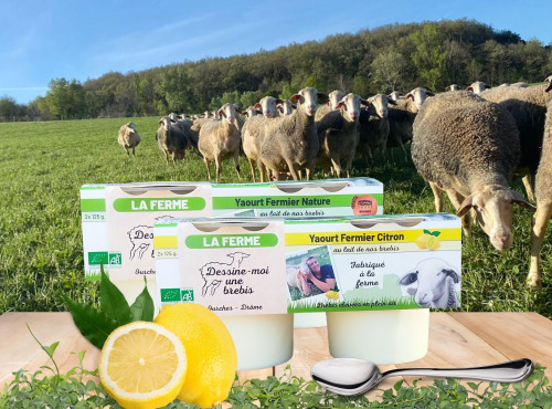 Dessine moi une brebis - Duo Yaourt Brebis Nature et Citron 4x125g