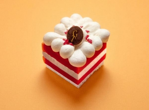 GT Designer Glacier - Vacherin Vanille Framboise Individuel