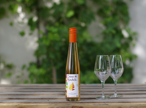 Domaine de l'Ambroisie - Crème de Mirabelle bio Origine Lorraine 35cl