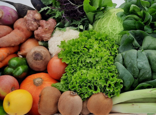 Jardin de Durance - Panier de légumes de saison BIO - 5 kg
