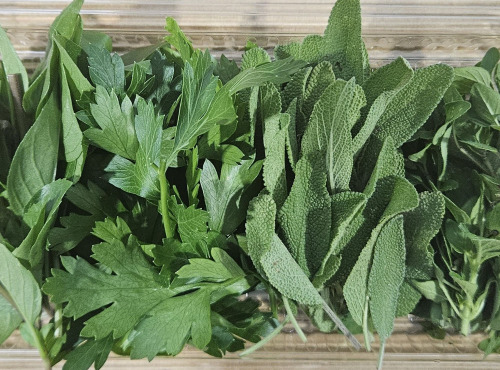 Midiflore - Aromates fraiches pour Cuisine Italienne 40g