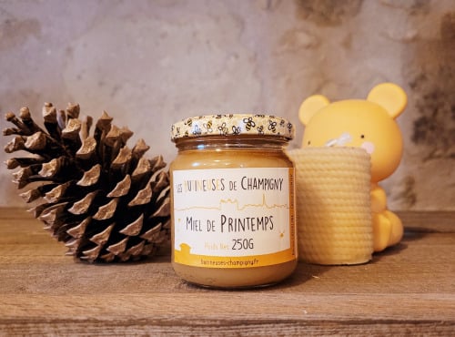 Les Butineuses de Champigny - Miel de Printemps BIO - 250g