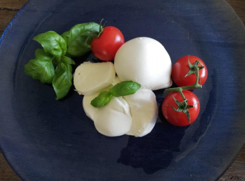 Fromagerie Beauséjour - Mozzarella au lait cru de vache, lot de 6 pots de 125g