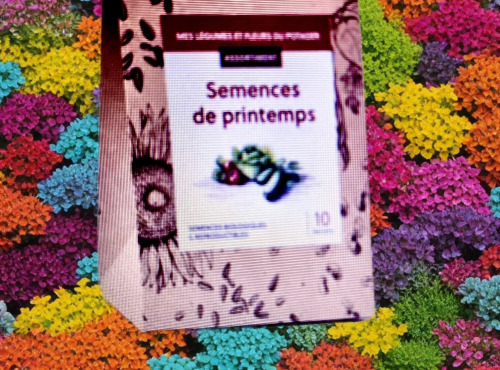 La Boite à Herbes - Assortiment Semences de Printemps Bio