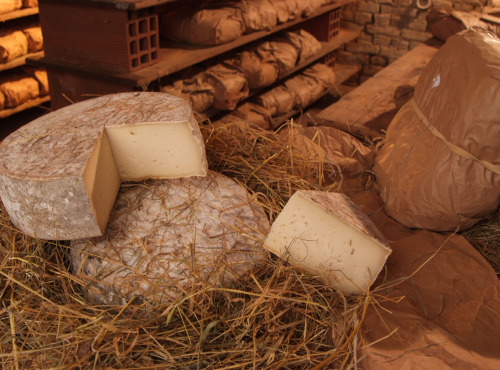 Fromagerie de la Chapelle Saint Jean - La Tomme Au Foin