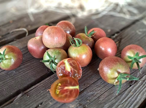 Les Jardins de Gérard - Tomate cerise noire de Crimée Bio - 1 k g
