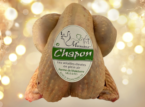 La Famille Mille - Le Maraudeur - Le Petit Chapon Plein air de notre ferme, moins de 3,5kg