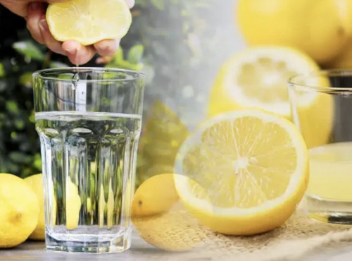 L'OLIVERAIE DU COUDON - PUR JUS DE CITRON 70 CL