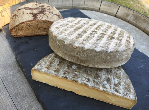 Depuis des Lustres - Comptoir Corse - Tomme des Dômes - le Saint Roch - Auvergne - Exclusivité