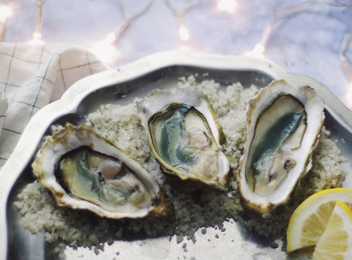 Les Huîtres Courdavault Alain & Fils - Huîtres Fines Vertes Calibre 2: 100 Huîtres = 11  Kg