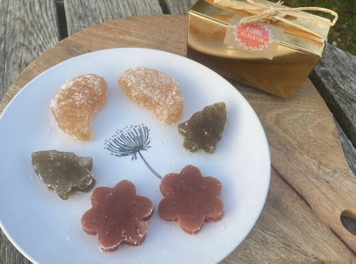 Ferme Sinsac - Pâtes de fruits assortis de Noël (en ballotin de 100grs)