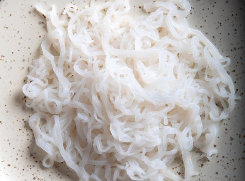 France-Konjac - Spaghettis de konjac en vrac-Format restauration/ fabrication
