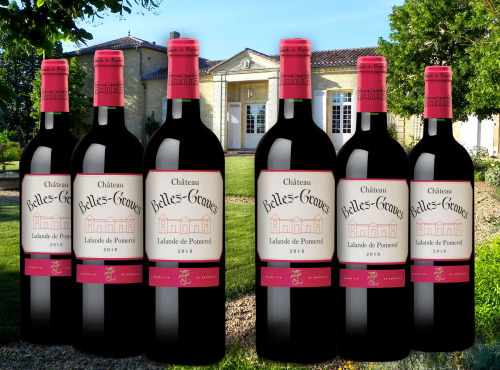 Château Belles-Graves - AOC Lalande de Pomerol 2022 - Château Belles-Graves 6x75cl