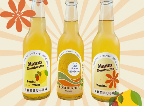 Mama Kombucha - Coffret Spécial Fêtes - 6x33cl