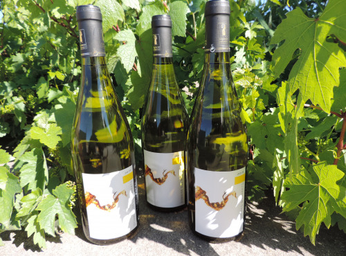 Domaine des Bourrats - Saint Pourçain AOC Blanc Cuvée des Bergerons - 3 bouteilles