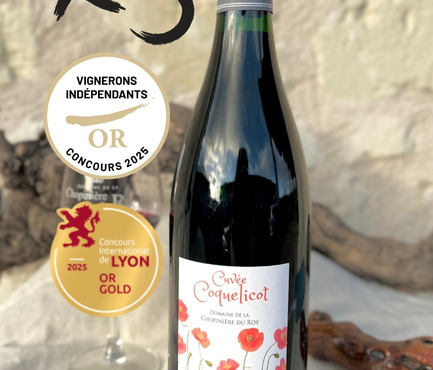 Domaine de la Chopinière du Roy - Lot de 3 Bouteilles de vin rouge Saint Nicolas de Bourgueil cuvée Coquelicot 2023 - 3 x 75 cl