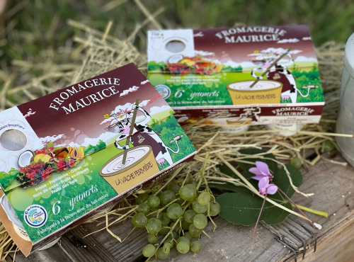 Fromagerie Maurice - 4 Packs de Yaourts aux Arômes Naturels x6