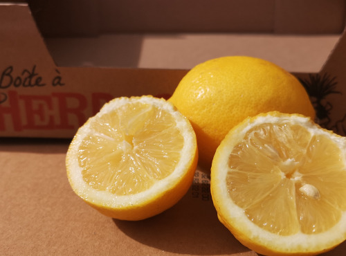 La Boite à Herbes - Citrons Verna Bio X2