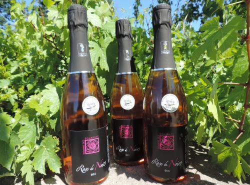 Domaine des Bourrats - Méthode Traditionnelle Rose de Noirs - 3 bouteilles
