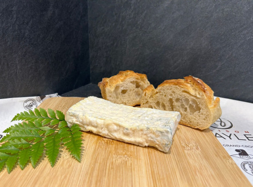 Maison BAYLE - Champions du Monde de boucherie 2016 - Brique de chèvre - 130g