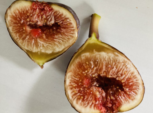 Domaine du Chillou - Figues Bio 250g