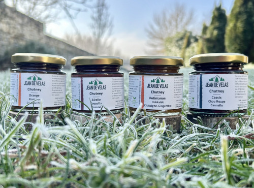 Jean de Velas - Lot de 4 Chutneys