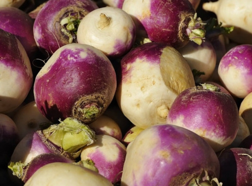 Maréchal Fraicheur - Navets - 5 kg