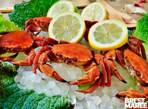 Brest Marée - Etrilles Cuites - 500g